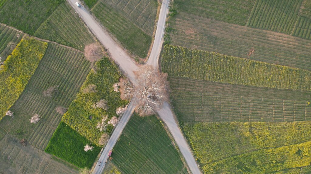 Detailed aerial shot of crossroads surrounded by lush green farmland.