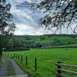 Serene rural scene with lush green fields and distant hills under a cloudy sky.