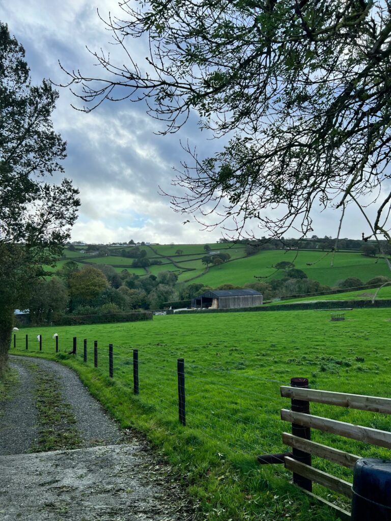 Serene rural scene with lush green fields and distant hills under a cloudy sky.
